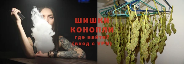 эйфоретик Арсеньев