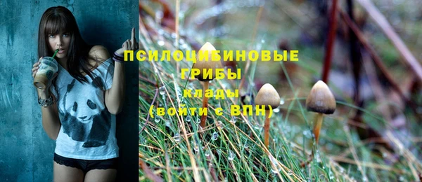 молекула духа Армянск