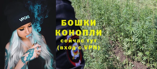 эйфоретик Арсеньев